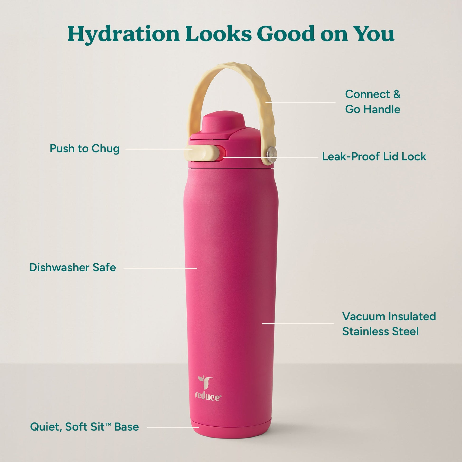 aura-26-oz-l4 Aura_26oz_DragonFruit_PDP_Infographic_2-03.jpg