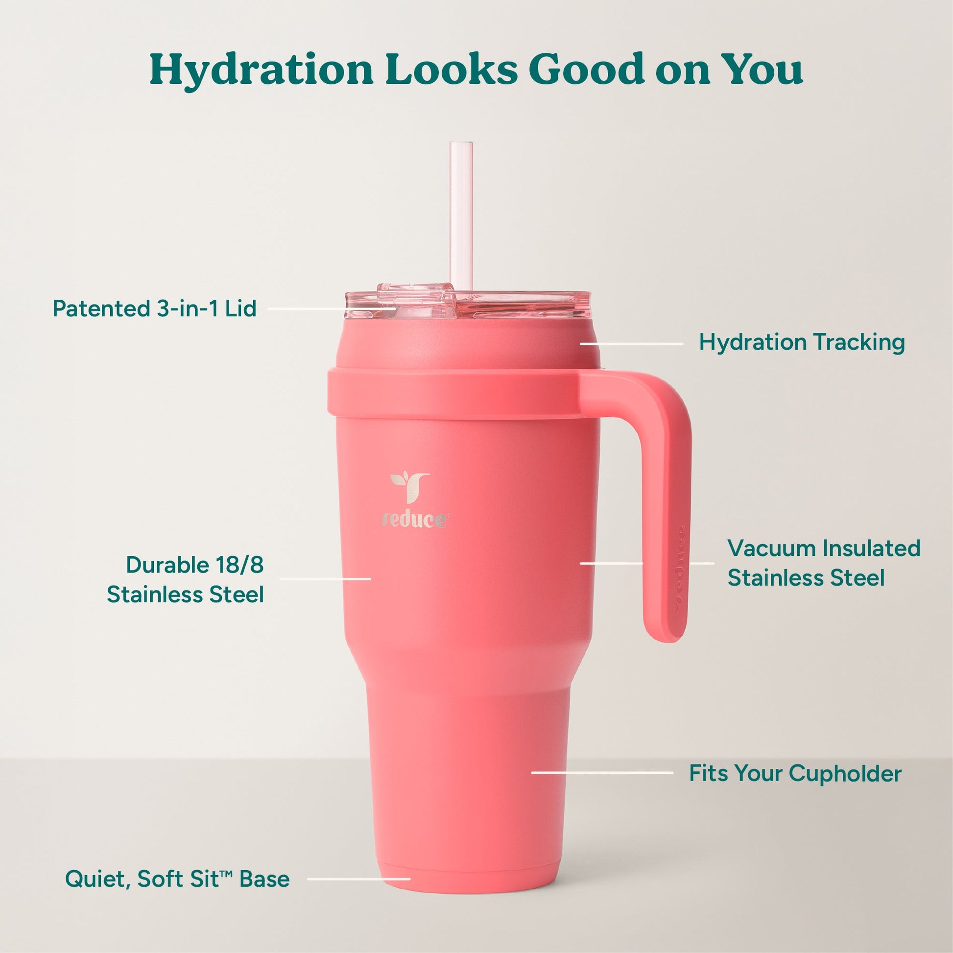 cold1-40-oz-f5 Cold1_40oz_Daiquiri_Infographic_2.jpg