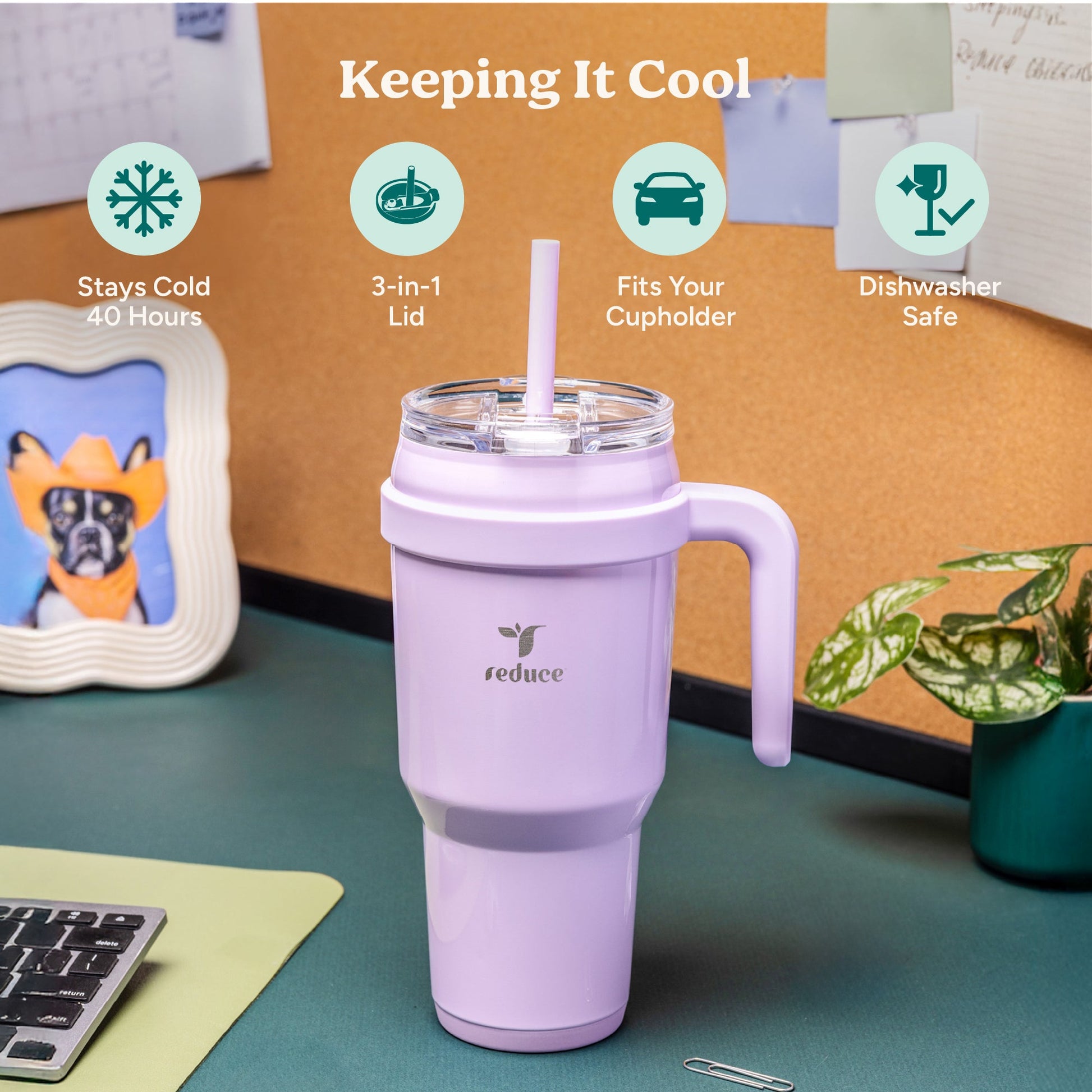 cold1-40-oz-f5 Cold1_40oz_PalmLeaf_Infographic_1.jpg
