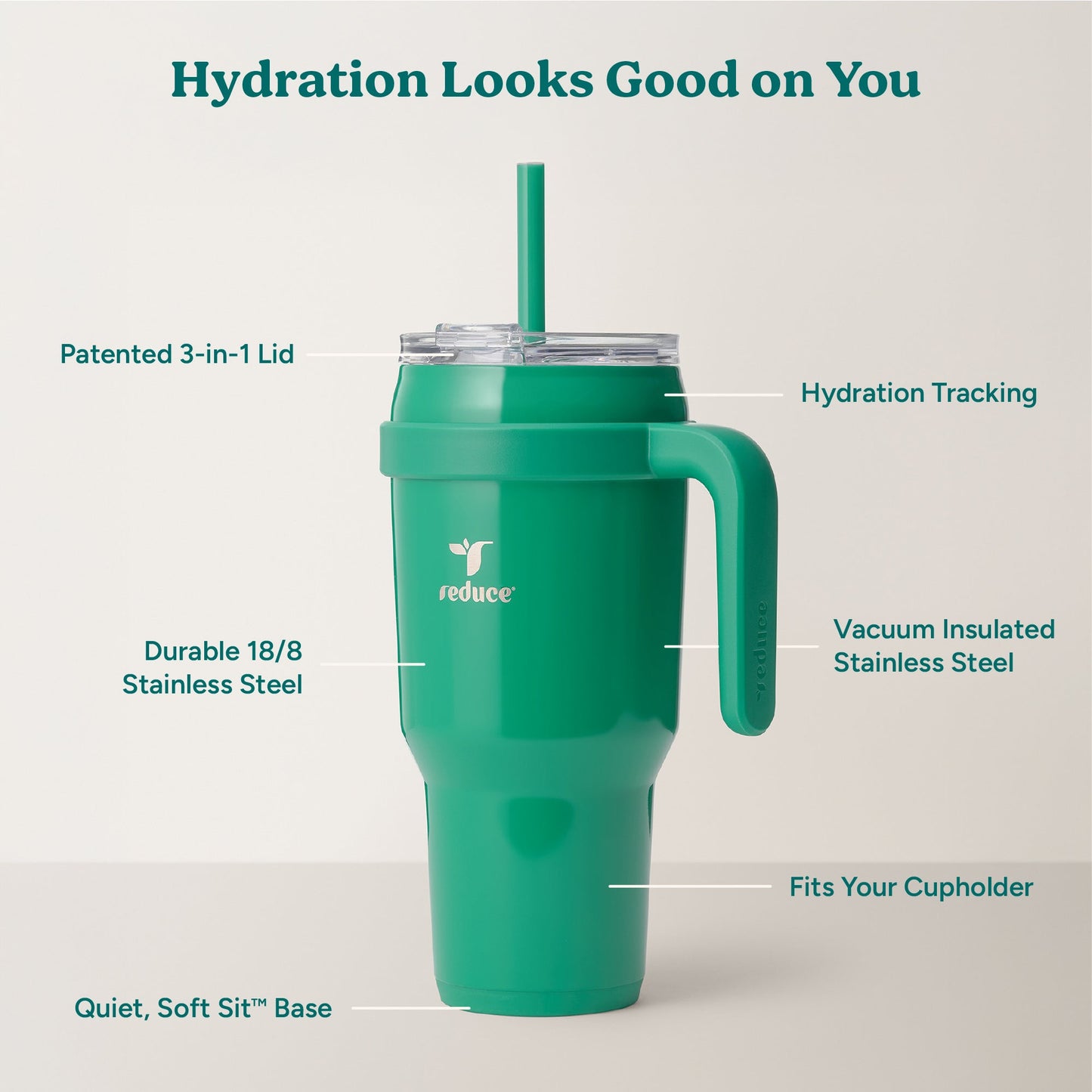 cold1-40-oz-f5 Cold1_40oz_PalmLeaf_Infographic_2.jpg
