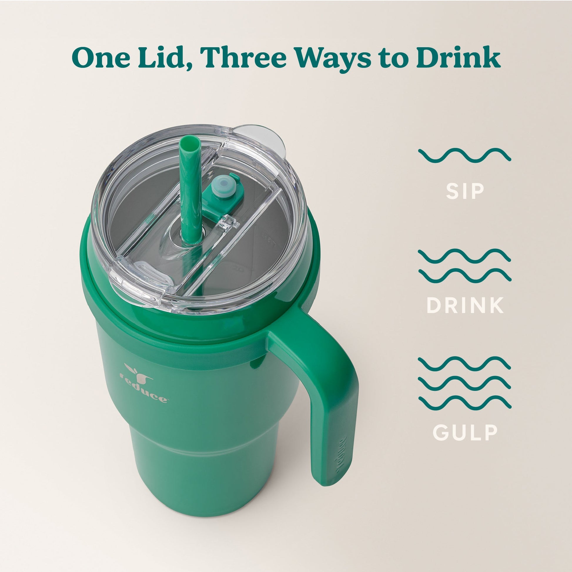cold1-40-oz-f5 Cold1_40oz_PalmLeaf_Infographic_3.jpg