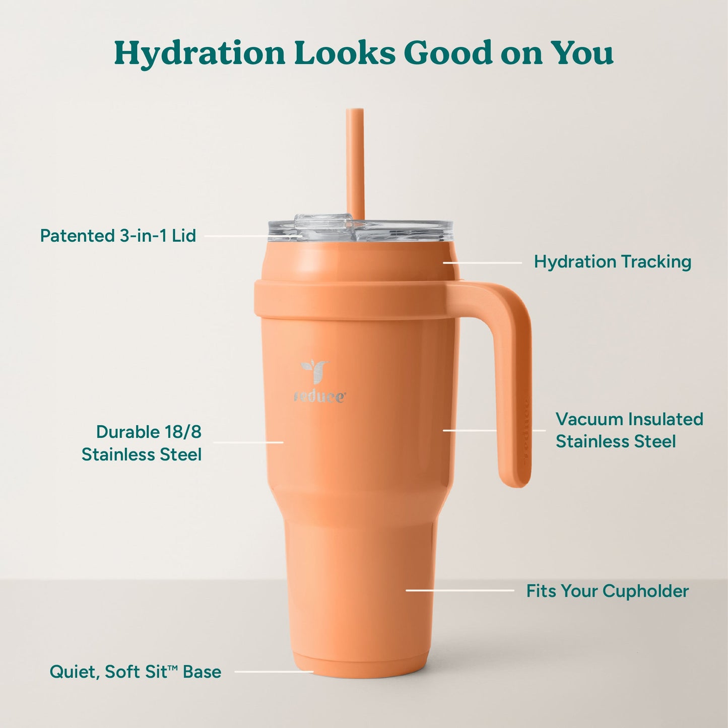 cold1-40-oz-f5 Cold1_40oz_Papaya_Infographic_2.jpg