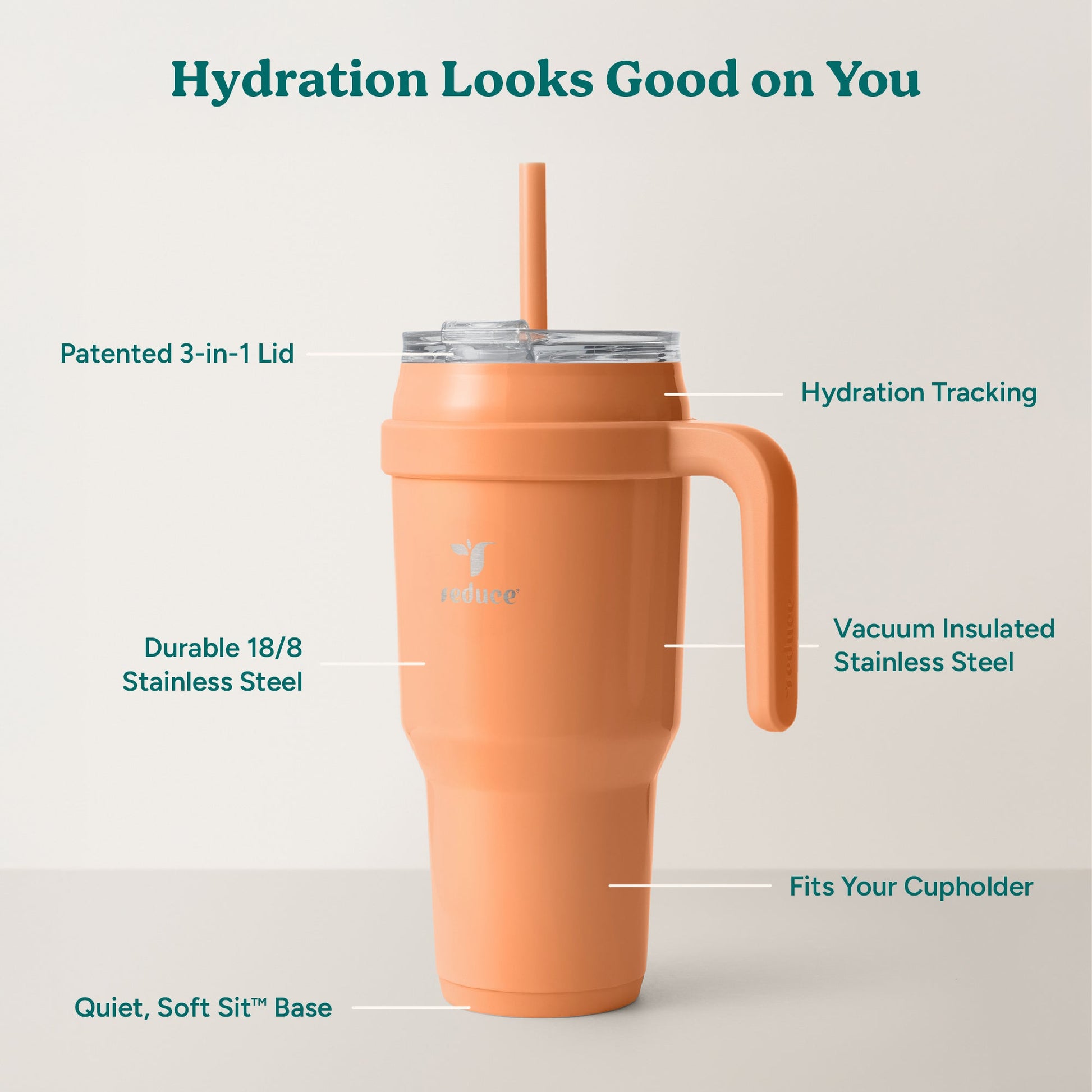 cold1-40-oz-f5 Cold1_40oz_Papaya_Infographic_2.jpg