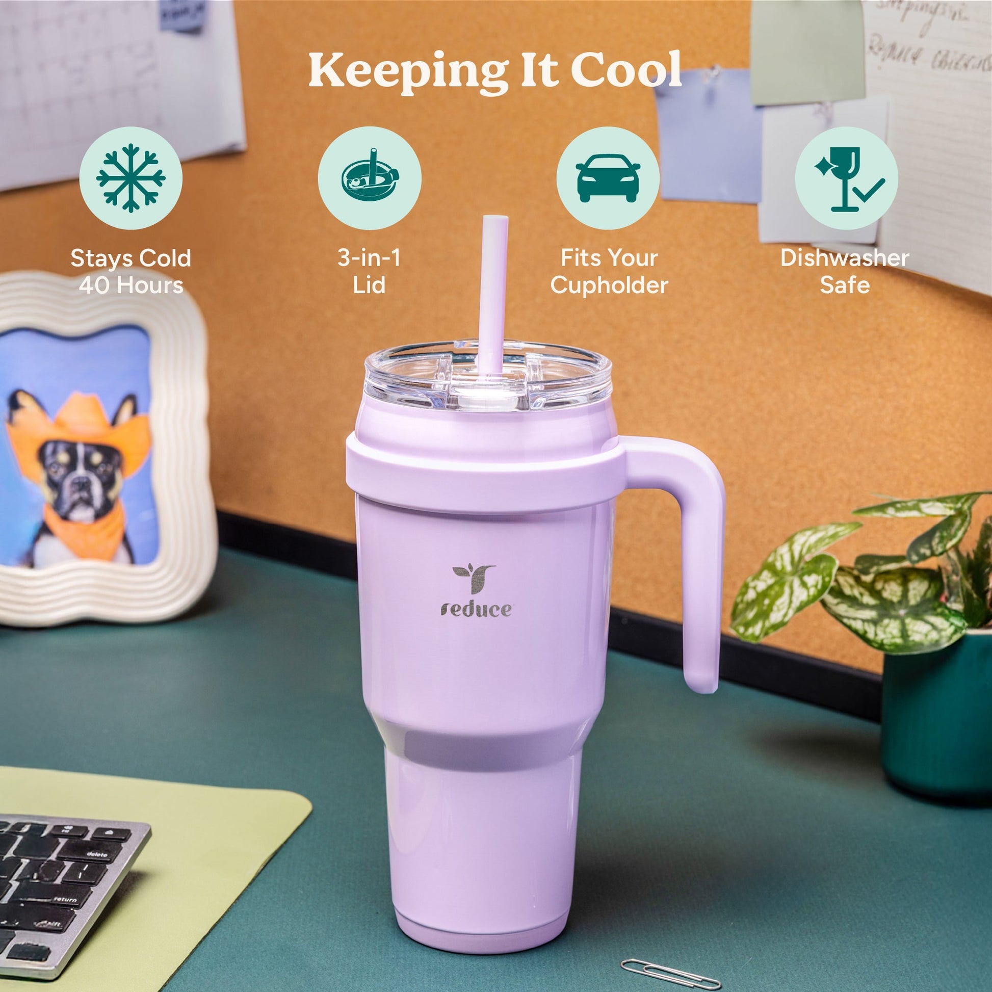 cold1-40-oz-f5 Cold1_40oz_PurplePunch_Infographic_1.jpg